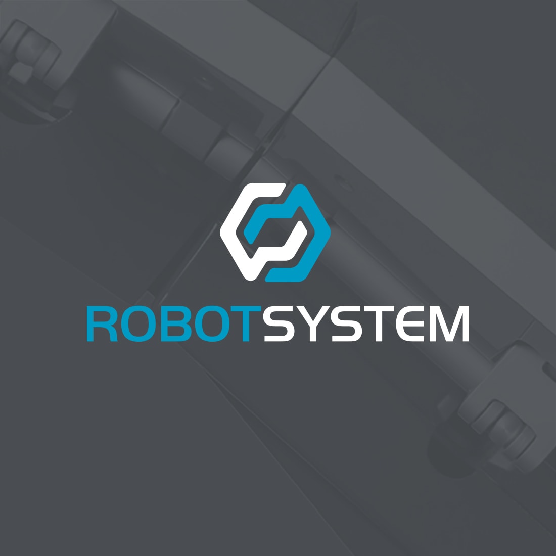 Robot System